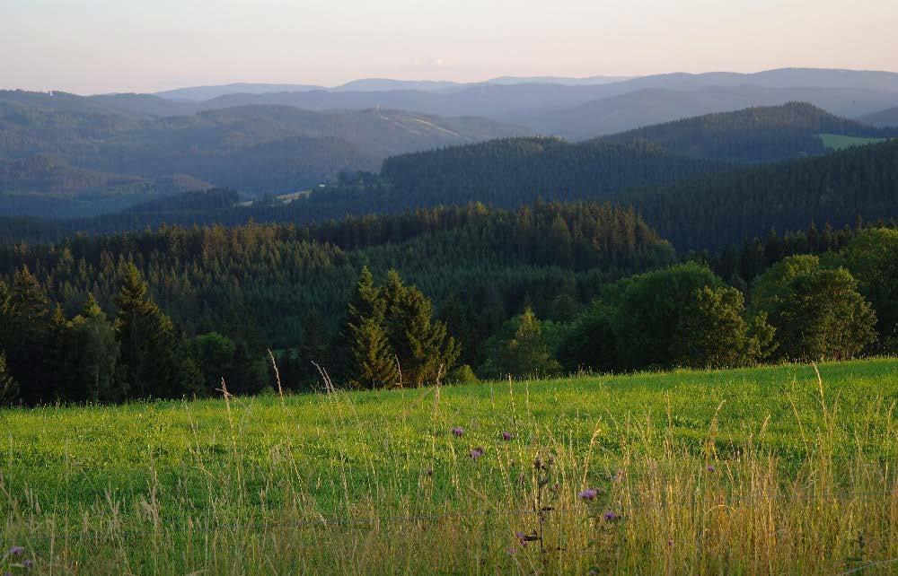 rok před námi budou stát některé výzvy, rozhodnutí a možnosti. Některé si vynutí běh života, ale mnohé nikoli.