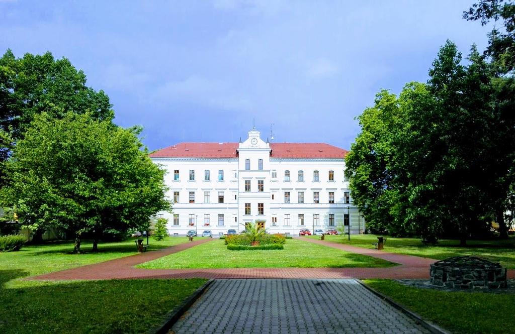 PSYCHIATRICKÁ LÉČEBNA ŠTERNBERK VÝROČNÍ ZPRÁVA