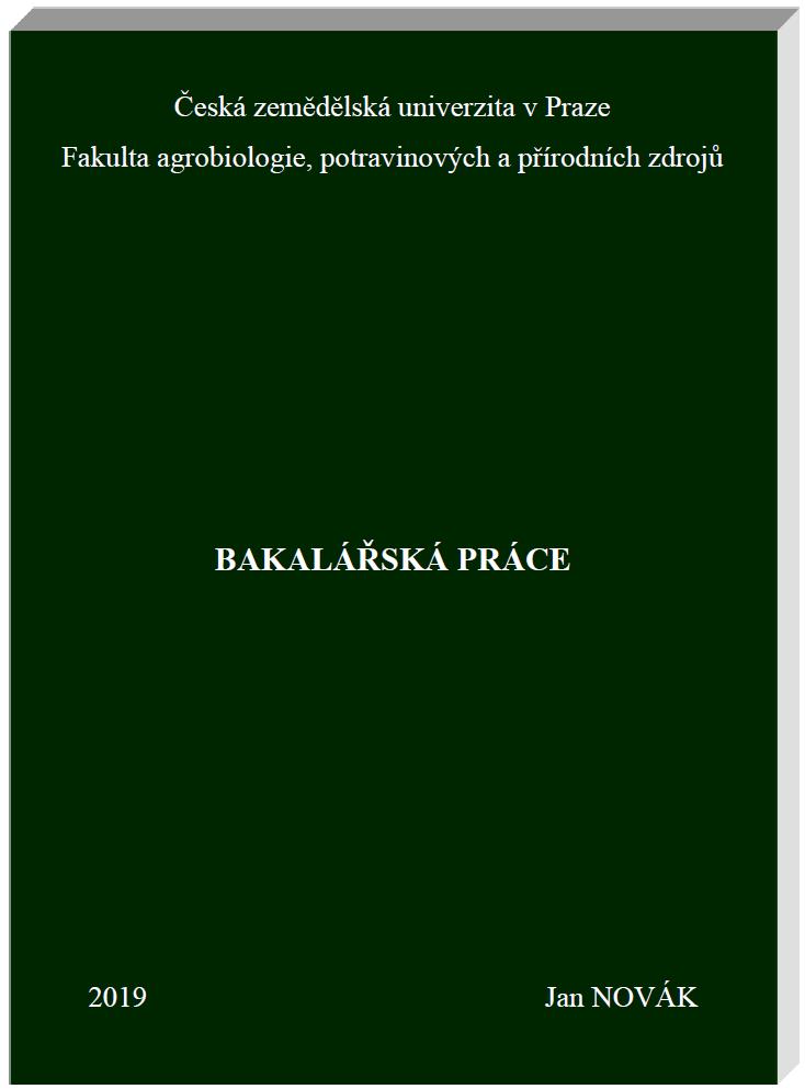 POKYNY BP - PŘÍLOHA II VZOR DESEK PRÁCE Tištěné logo