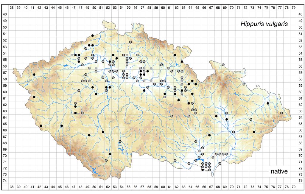 Distribution of Hippuris vulgaris in the Czech Republic Author of the map: Zdeněk Kaplan Map produced on: 07-11-2016 Database records used for producing the distribution map of Hippuris vulgaris