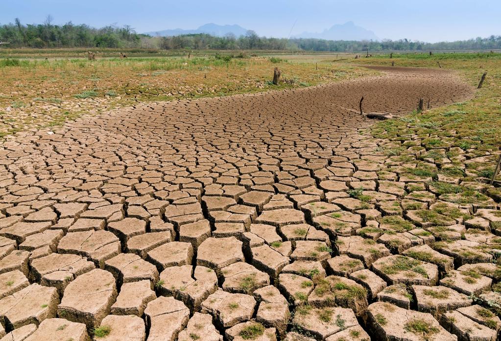 DŮSLEDKY KLIMATICKÝCH ZMĚN ZMĚNY NA