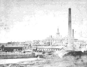 VÝROBA CUKRU V ČR A VE SVĚTĚ Počátky průmyslové výroby cukru u nás - rok 1831 Výroba