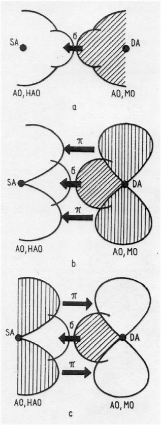 podle typu vazby mezi centrálním atomem a ligandy Příklady ligandů F, H 2 O, NH 3, NH 2 OH, RNH 2, R 2 NH, R 3 N aj.