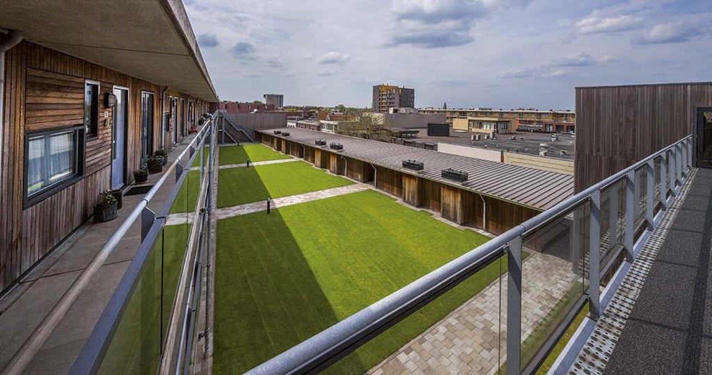 Řešení 1: Zelené střechy Zelené střechy jsou v současnosti v Evropě velmi populárním a efektivním způsobem, jak čelit novodobým klimatickým změnám.