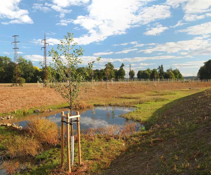 Revitalizace Jizery a Rakovského potoka Miroslav Holeček, Miroslav Pácl 2 / 2016 Ochrana přírody Péče o přírodu a krajinu 13 Revitalizace vodních toků jsou aktuálně významným tématem vodního