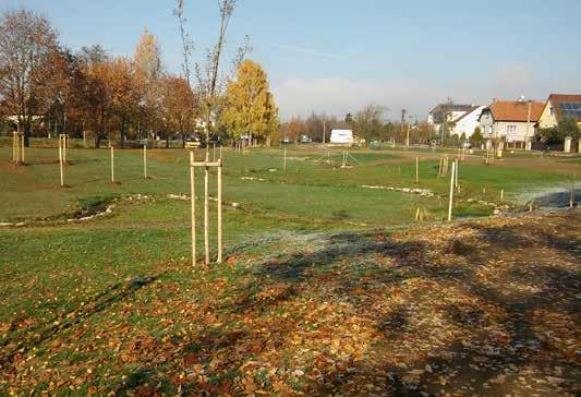 Ve spolupráci s architektem (Architekti Headhand s. r. o., Z. Zymáková) byly dále řešeny sadové a parkové úpravy.