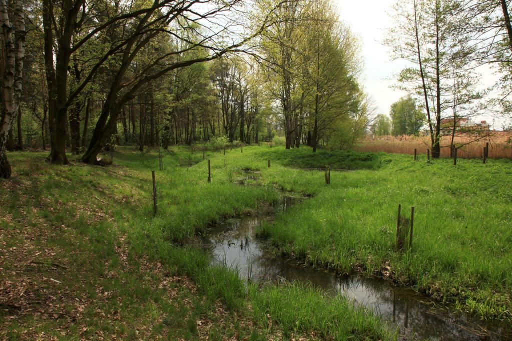 Revitalizace a podpora