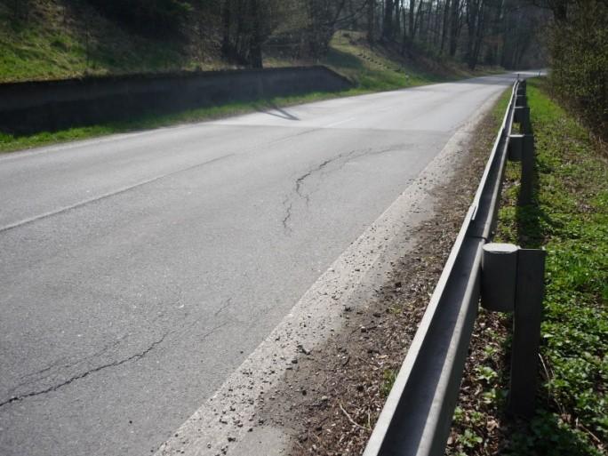 Rekognoskace terénu Celá oblast zájmového sesuvu byla důkladně prozkoumána. Na sesuvném svahu byly zaznamenány projevy sesuvu.