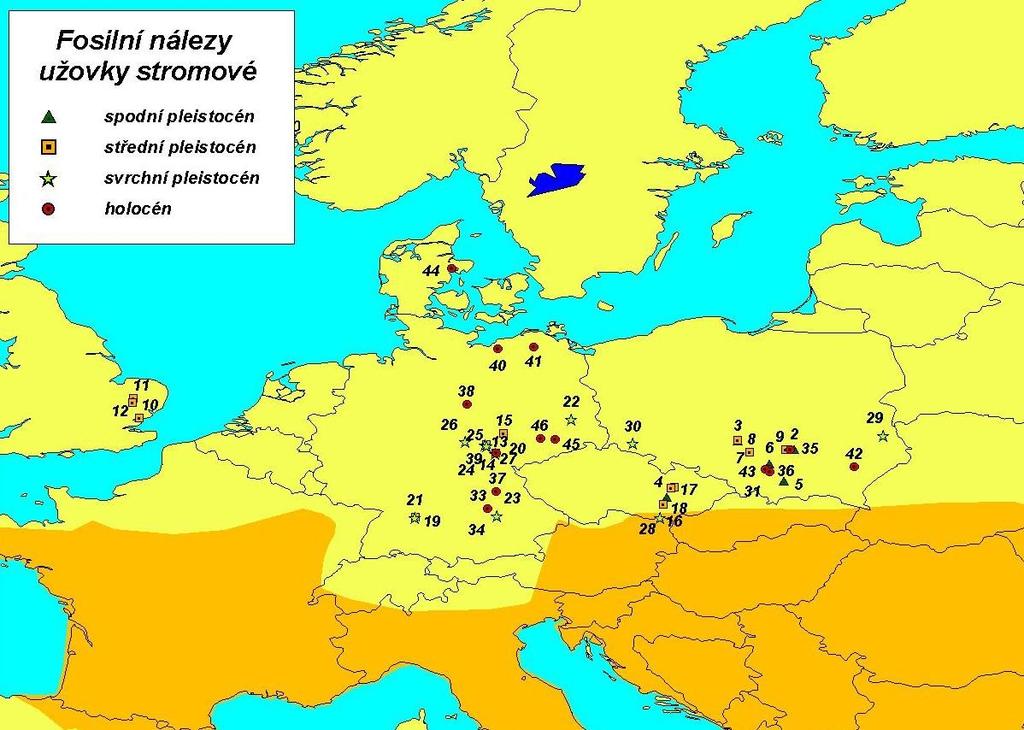 Příloha 2 Fosilní nálezy užovky stromové (Zamenis
