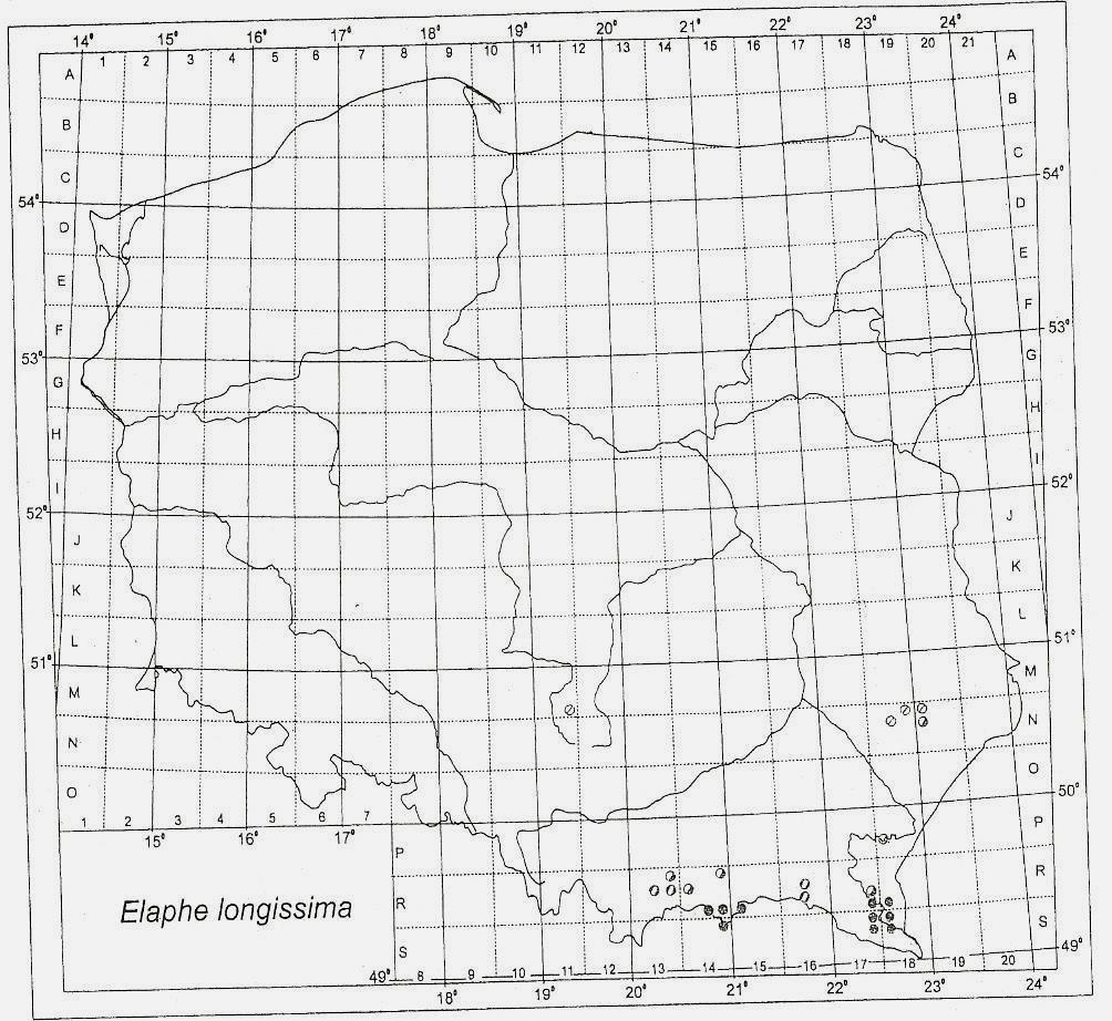 Subboreal Ljungar (1995) Böhme (1994) Böhme (1991a) Příloha 3 Rozšíření užovky stromové