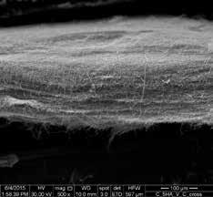 SEM snímky kolagenových nanovlákenných nosičů léčiv, které lze připravit s orientovanými nebo všesměrně orientovanými vlákny.