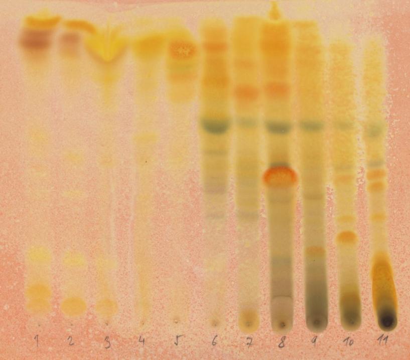 Tab. IX. Výsledky sloupcové chromatografie výtřepku Corydalis cava/b/chcl 3 Spoj. Frakce Eluční systém značení Popis Hmotn. (g) fr.