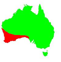 Původ letniček Austrálie