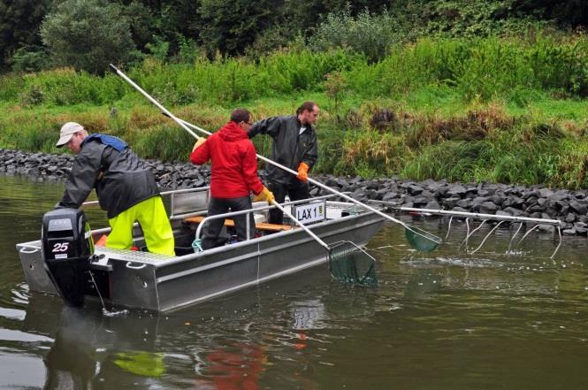 Zpráva hydrobiologů 2012 V závislosti na velikosti (potok nebo řeka) útvaru povrchových vod a jeho hlavního charakteru (stojaté nebo tekoucí vody) jsou stanoveny požadavky na vzorkované úseky a