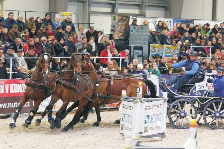 Žádný jiný vozataje je Jezdecký festival sportovní události s pøíznaèným jezdecký mítink, pøi kterém se výjimeèný navíc tím, že pøi nìm názvem Jezdecký festival.