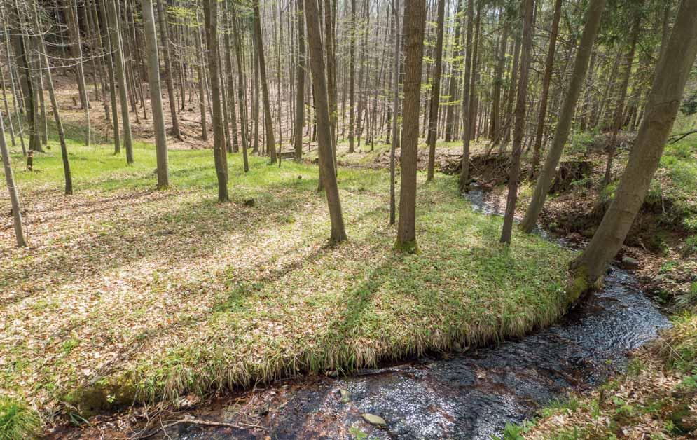 Společenská odpovědnost a