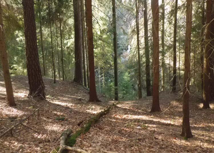 U ní bylo pro všechny pøipraveno obèerstvení.