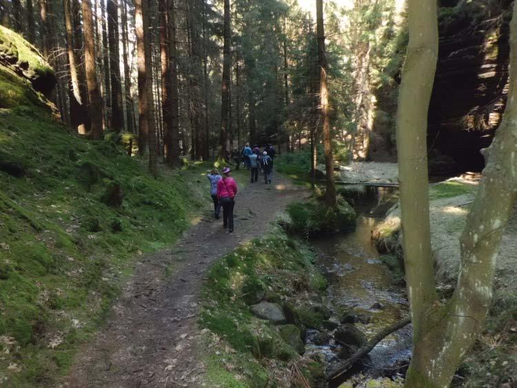 Pak následovala poslední èást trasy, která byla nejkrásnejší - údolí Suché Kamenice.
