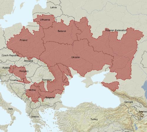 a jejich přítocích Račí potok u Velkých Losin (okr.