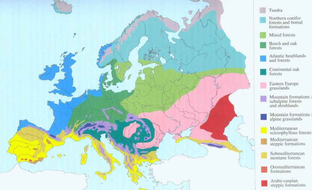 Zeměpisná mapa České