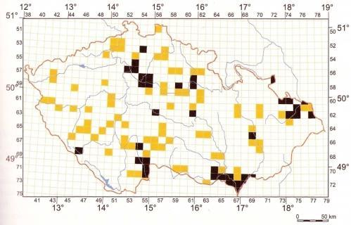 tanaitica většina povodí s výjimkou Visly 1970-2005 Misgurnus fossilis piskoř pruhovaný COBITIDAE: stojaté až mírně