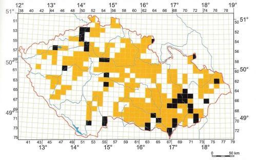 ryb, jejichž spermie vajíčka karasů neoplodňují, jen stimulují jejich vývoj z nich opět jen FF; od 1992 se objevují na JM i samci C.