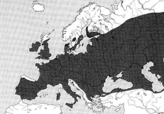 carpathicus parma karpatská (Kotlík,