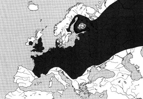 Leuciscus leuciscus jelec proudník