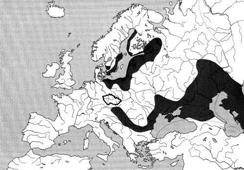Pelecus cultratus ostrucha křivočará ČR - od