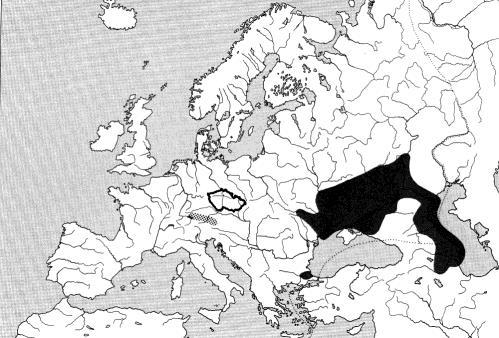 Rutilus meindingerii plotice perleťová Jen 1 nález - Dunaj u Radvaně n/d., asi splavena z horního Dunaje z Rakouska.