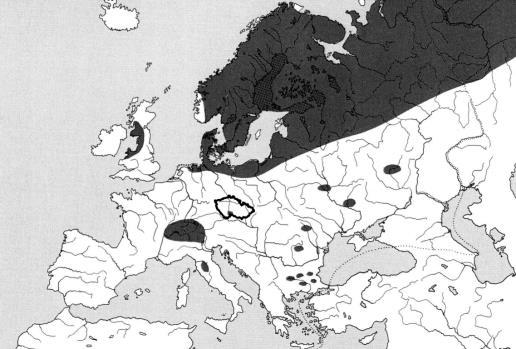 wartmanni síh Wartmannův, C.