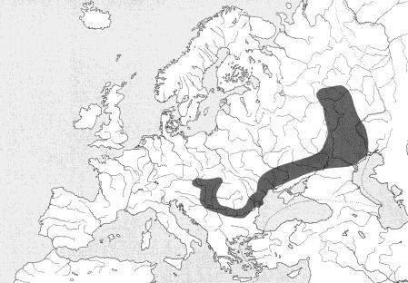 st., pak až 1994 dolní Morava a 1996 dolní Dyje v Břeclavi, nyní dolní Morava (po ř.