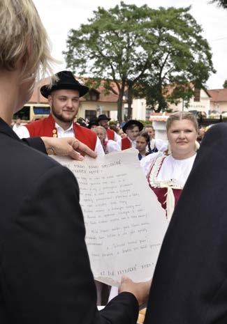 Ohlédnutí