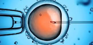 3. Pozdní model plodnosti Výzkumné cíle: 1. Zhodnocení příčin a důsledků odkladu plodnosti do vyššího věku 2.