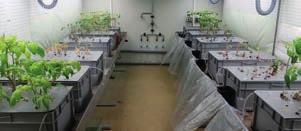Realizace stavby Biotechnologického pavilonu M byla