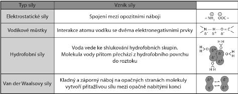 vytvoří se tzv. imunokomplex, který je reverzibilní a sílu vazby označujeme jako afinitu. Afinitu při vazbě antigen-protilátka vyjadřuje rovnovážná (asociační) konstanta.