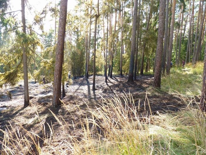 Zásahy hasičů za měsíc červenec HZS Kraje Vysočina, územní odbor Žďár nad Sázavou eviduje v období od 1.7. do 31. 7. celkem 224 událostí.