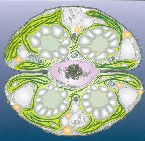 biomonitoring