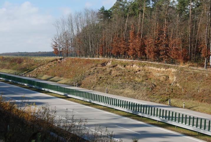 častým střídáním jílovitých a písčitých poloh), tak v rámci desítek metrů.