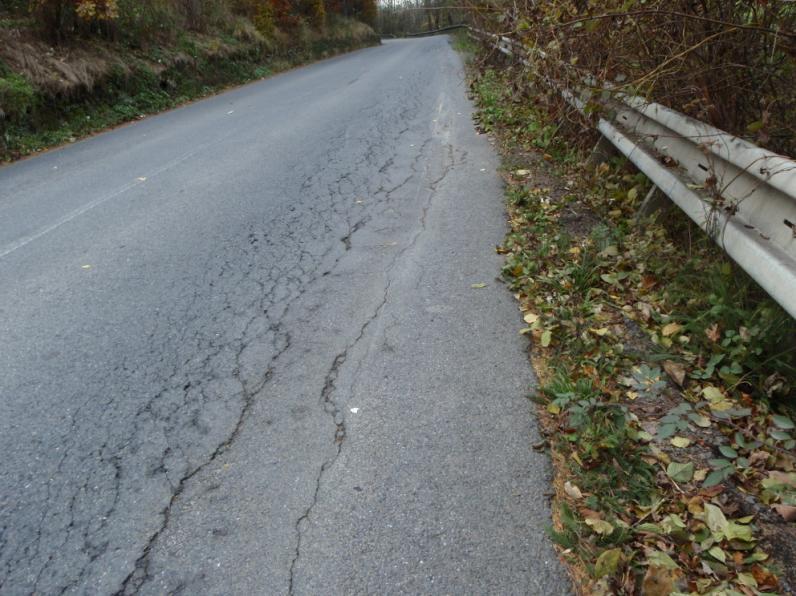 příloh). Komunikace je v daném místě široká přibližně 6 m a její strana přivrácená ke svahu je místy vedená v odřezu, hlubokém až 1 m a zajištěném zárubní zídkou z volně skládaných kamenů.