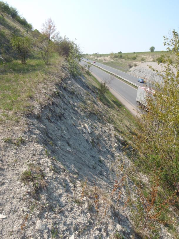 převažující a charakteristický štěrk, tvořený tenkými, ostrohrannými plátky slínovců až po šedobílou prachovitou zeminu s drobnými úlomky horniny. Toto podloží bylo volně porostlé travou.