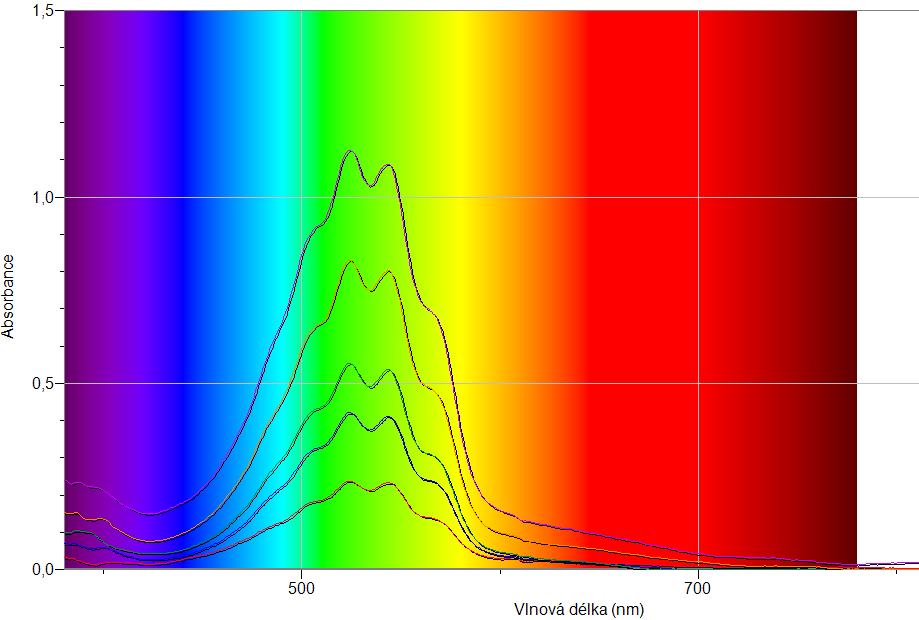 3 EXPERIMENTÁLNÍ ČÁST Obr. 37 Absorpční spektrum kalibračních roztoků manganistanu draselného Metodické poznámky: Místo manganistanu lze využít i síranu nikelnatého.