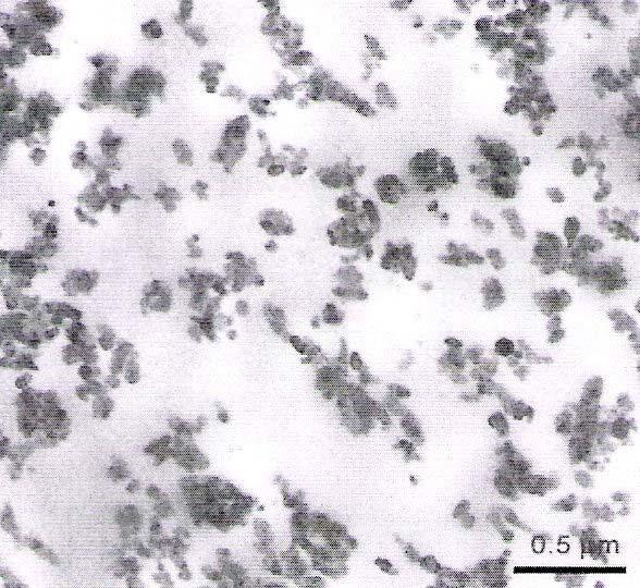 br. 5 TEM mikrosnímek hcpp/cac 3 Pomocí prozařovací elektronové mikroskopie (TEM) bylo zjištěno, že částice mastku byly ve vzorcích velmi dobře dispergovány.