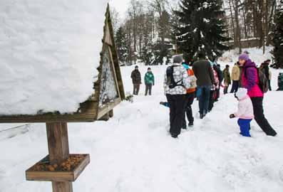 12. 1. od 8 hodin 13. 1. od 9 hodin 18. 1. od 18 hodin Jelen, seznamte se Viděli jste někdy na 6 metrů 60 živých jelenů? Víte, co má společného Krakonoš a jelen?