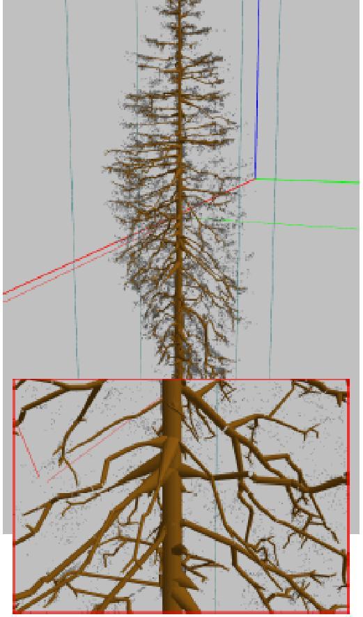 smrkových stromů rekonstruované modely využity v návazném výzkumu získávání statistických informací o množství dřevité