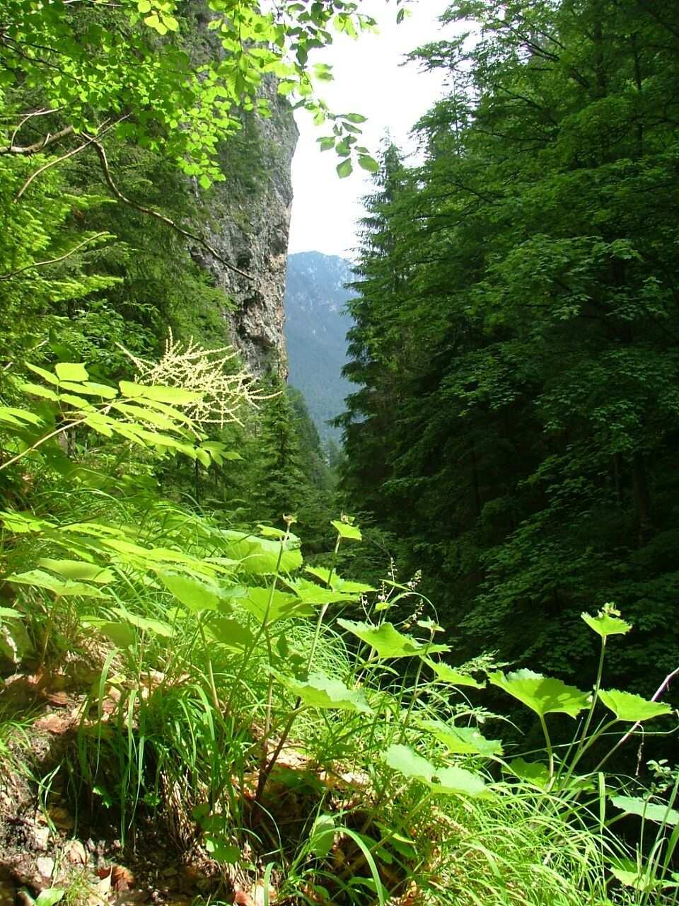 Velkoplošná zvláště chráněná území Národní park Chráněná krajinná oblast Maloplošná zvláště chráněná území Národní