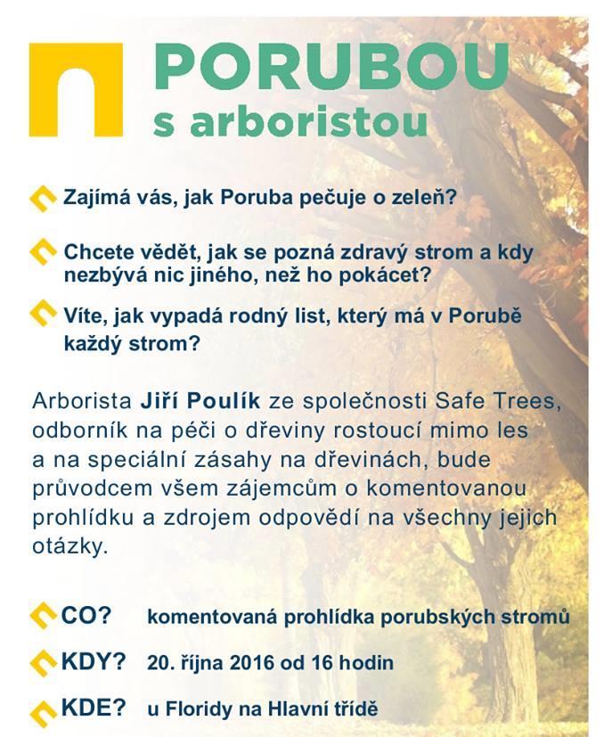 Aktivity