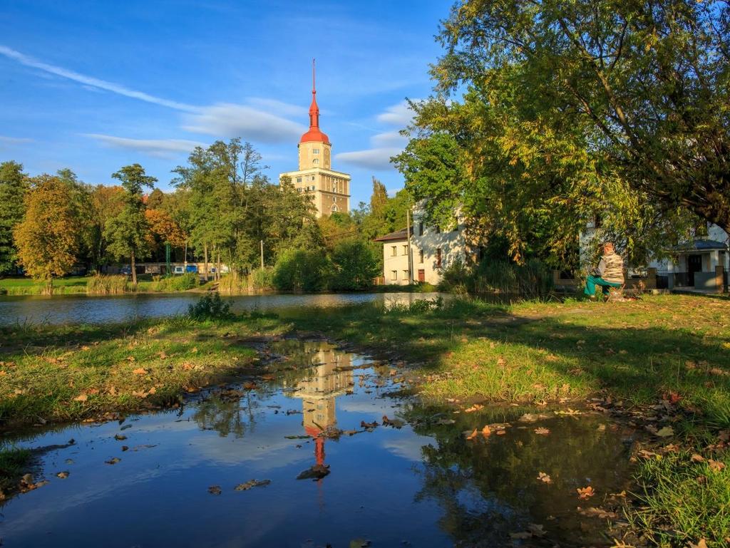 Rybník Pohled na park