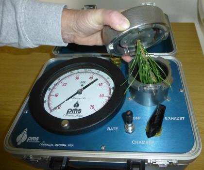 3 Možnost terénního měření vodního stresu rostlin PMS Tlaková komora Model 1000 od PMS Instrument Company, Oregon, USA je přenosná a umožňuje připojení na menší plynovou