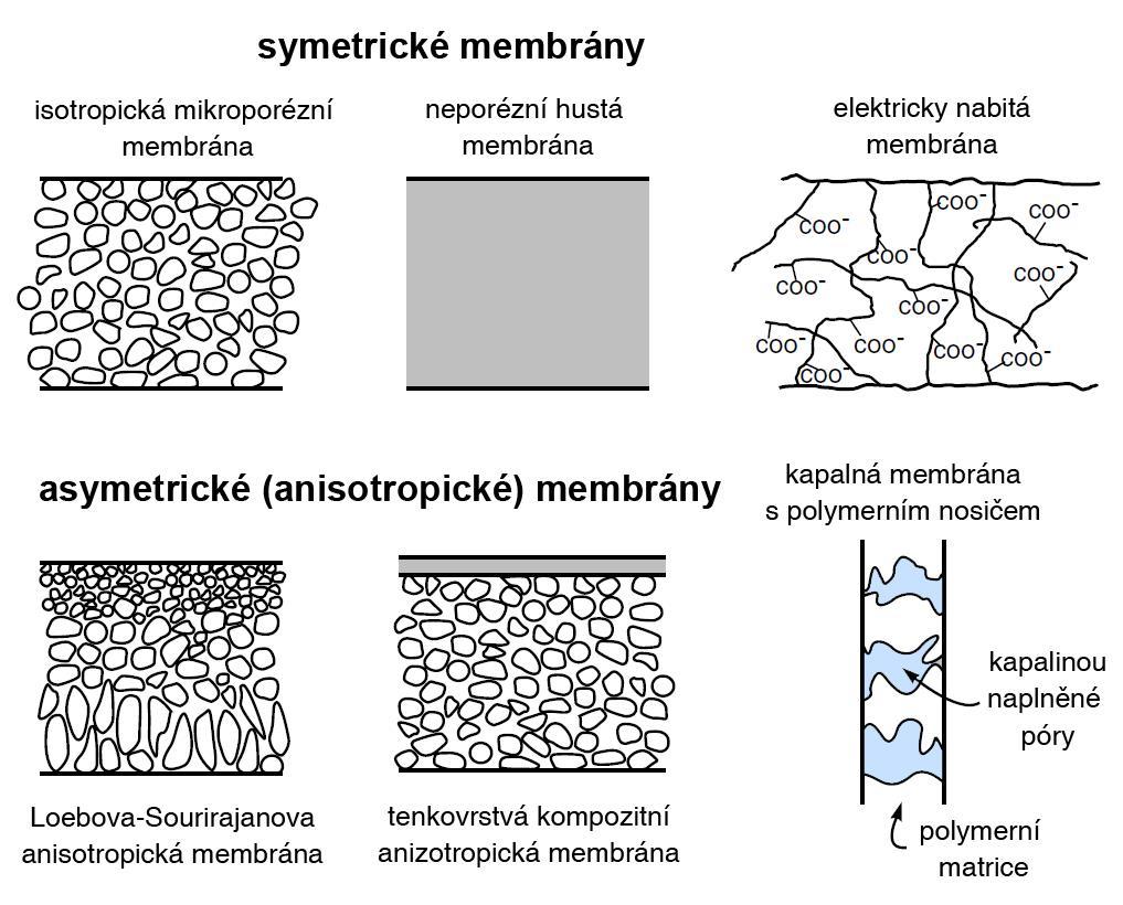 Membrány typy 2 R.